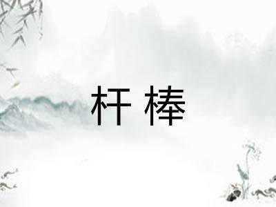 杆棒 杆棒
