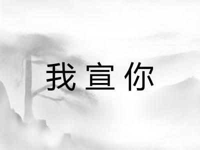 我宣你 我宣你