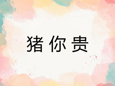 猪你贵 猪你贵