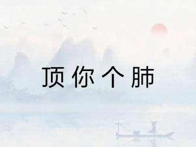 顶你个肺 顶你个肺